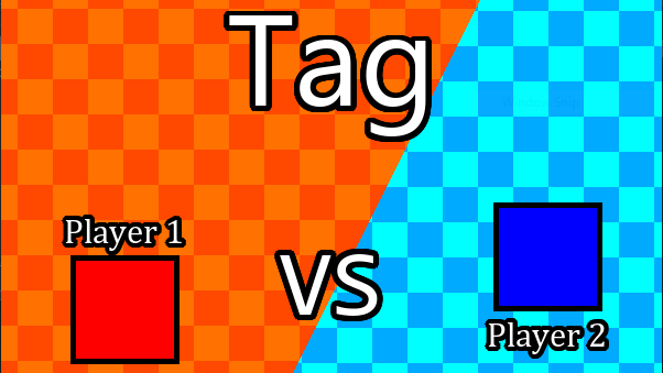 2 Player Tag